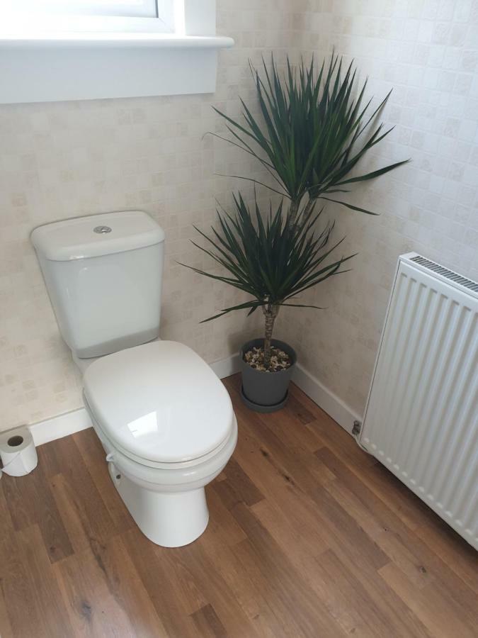 The Coal House Apartment Townhill Bagian luar foto